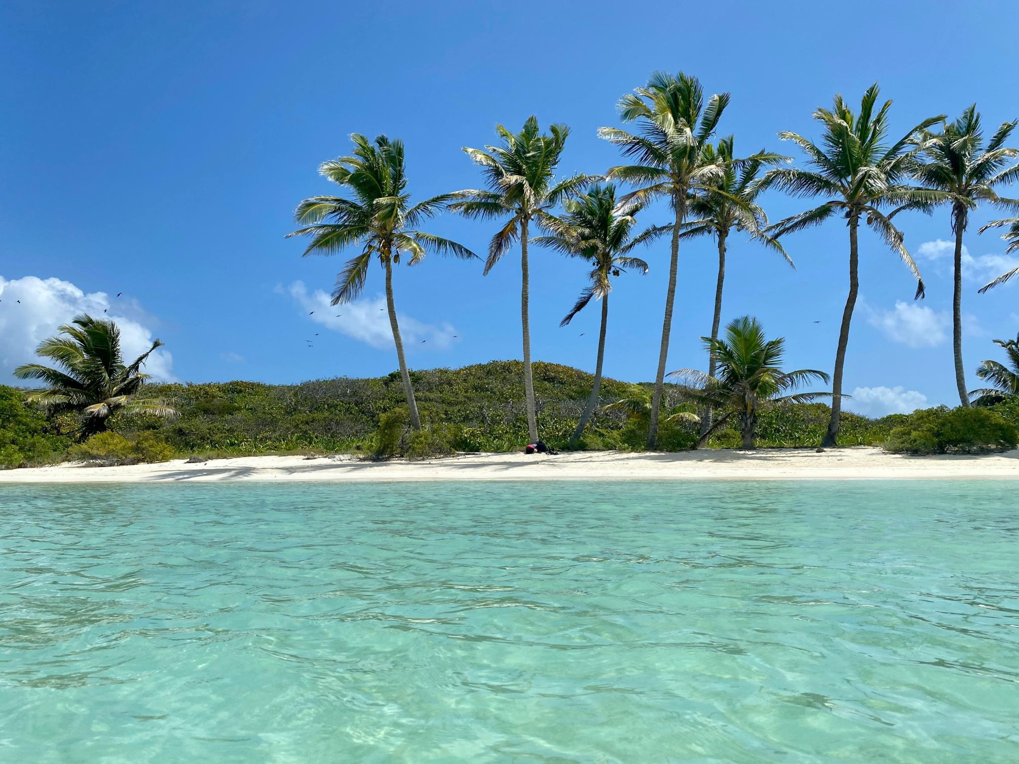 Costa Caraibi cruise schip in de Karibik met turkoisblauwe water en tropische eilanden als bestemming